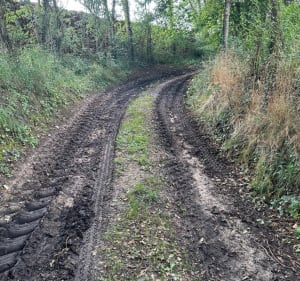 Rando VTT ensoleillée aux Choux - Les Choux - 2