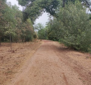 Le Cannet-des-Maures direction Château St-Roux - MARIE - 5