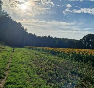 Tour du Lac de la Gioule - Cazères-sur-l'Adour - 2