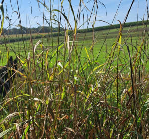 Balade à travers champs autour de Saint-Quentin - Saint-Quentin - 2