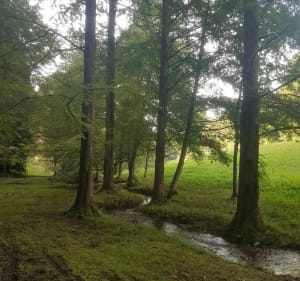 Gezondheidswandeling in Vallon du Salut - Bagnères-de-Bigorre - 2