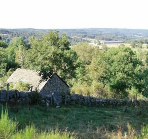 Balade décontractante à 1300 mètres d'altitude près d'Estables - Monts-de-Randon - 2