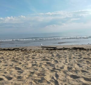 Le Martray vers Les Portes en Ré en vélo - La Couarde-sur-Mer - 2