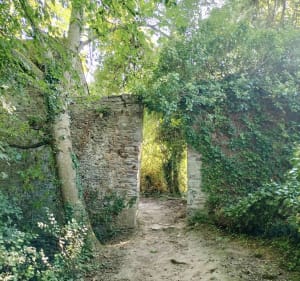 A Minihic, avec vue sur la Rance - Le Minihic-sur-Rance - 2
