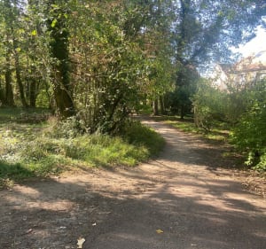 Balade de la forêt au quai de Seine - Conflans-Sainte-Honorine - 2