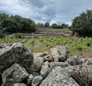 Sur les hauteurs de Los Masos - Los Masos - 2