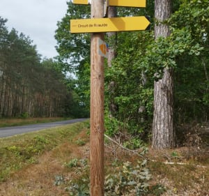 Chemin de Rivaulde à Champeau - Salbris - 2