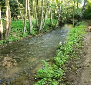 Balade le long de la Lame-Parc de La Law à Bruay-la-Buissière - Gwendoline - 3