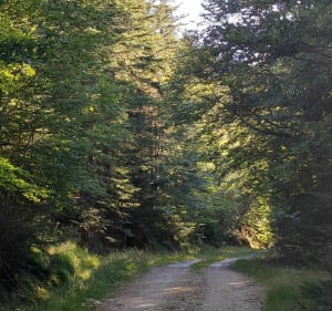 Jau-pas - Mylène - 3