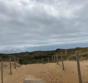 Entre forêt, mer et marais à Olonne-sur-Mer - Olivier - 3