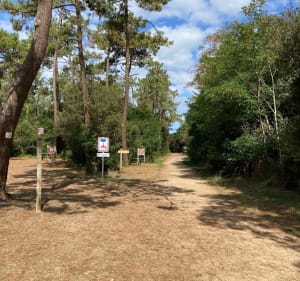 Entre forêt, mer et marais à Olonne-sur-Mer - Les Sables-d'Olonne - 2