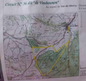 Circuit 36 de Vaubounon, au départ de Val-de-Mercy - Val-de-Mercy - 2