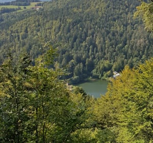 Boucle aux Lac d Alfeld et Lac des Perches - Herve - 3
