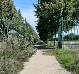 Beynes Château de Versailles et retour. - Beynes - 2