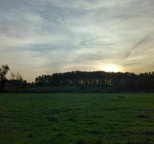 Balade entre Chalusson et Saint-Gelais - Saint-Gelais - 2
