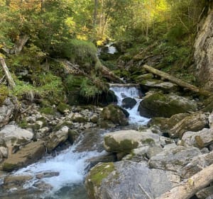 Montée aux Lindarets - Montriond - 3