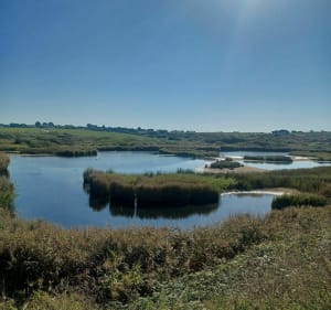 Le petit Loch et le Fort - Guidel - 2