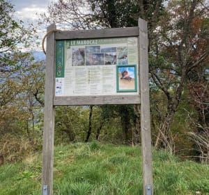 Descente du Col du Marocaz par la forêt. - Saint-Pierre-d'Albigny - 3