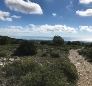 Belle randonnée dans la Clape - Narbonne - 2