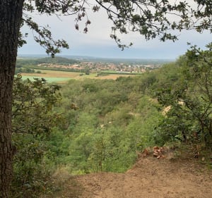 Route des Totems par la Butte et la Coudraye - Ballancourt-sur-Essonne - 2