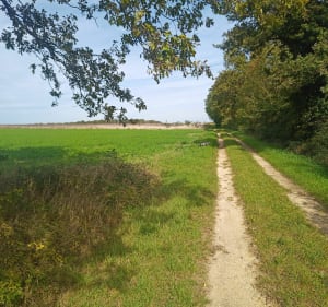 Balade autour de Sambin - Benoit - 4
