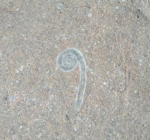 Parcours géologique du désert de Platé - Magland - 3
