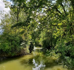 Balade bucolique au gré de la Vingeanne - Cath - 2