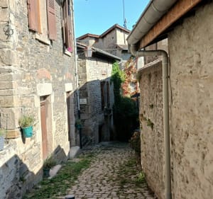 De Tartaras à Dargoire - Tartaras - 2