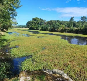 Le long de la Mayenne - Angers - 2
