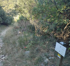 Promenade sur les hauteurs de Rochemaure - Lisa - 3