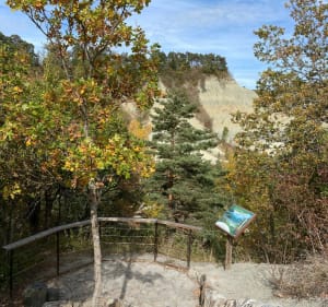 Boucle sur les ravins de Corboeuf - Saint-Julien-du-Pinet - 2