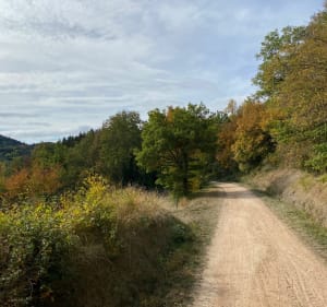 Boucle sur les ravins de Corboeuf - Amandine - 3