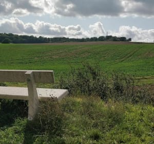 Arnières - Entre champs et forêts - Arnières-sur-Iton - 2