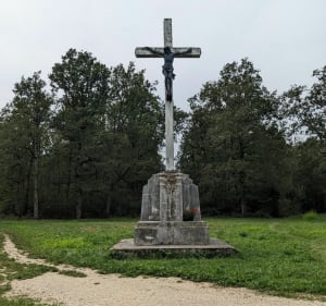 Tour à Fontainebleau en partant de Melun - Melun - 3