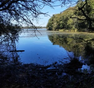 Autour du lac de Trémelin - Iffendic - 2
