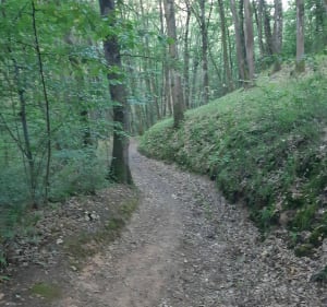 Parcours en forêt autour de Châtel-Guyon - Châtel-Guyon - 2