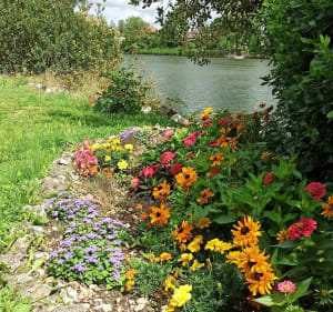Côtes du Vauvray et bord de Seine - Saint-Étienne-du-Vauvray - 2
