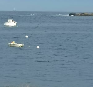 Sortie vers l'Île de Melon - RONAN - 2