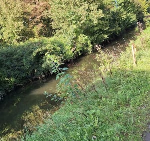 La Motte-au-Bois / Merville - Morbecque - 2