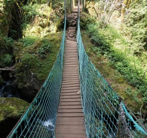 Ontdekkingswandeling van de Salins-waterval - Salins - 2