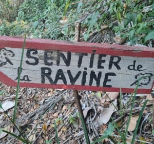 Sentier de la ravine Saint-Gilles - Saint Paul - 4