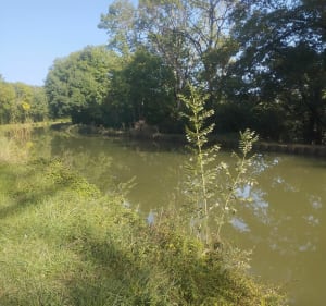 Balade à vélo sur la voie du Canal du Nivernais - Celine - 4