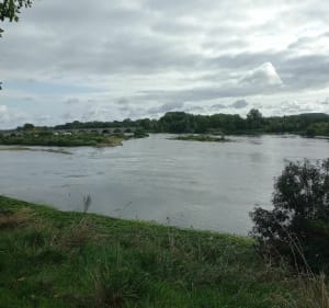 Les eaux bleues de Beaugency - Beaugency - 2