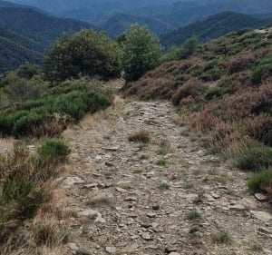 Le parcours des châtaigniers par Vimbouches - Ventalon en Cévennes - 2