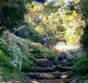 Parcours de l'Escouley par Villeranque - Avensan - 2