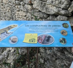 Belle balade autour du sentier des jardiniers invisibles - Villevieille - 2