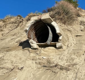 Rando le long de la baie au départ de Berck - Berck - 2