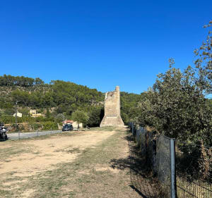 Balade entre Salernes - Entrecasteaux - Carces - Cotignac - Willy - 3