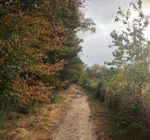 Autour de Puy Méry - Le Vigen - 2