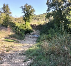 Balade autour de Saint Privat - Saint-Privat-des-Vieux - 2